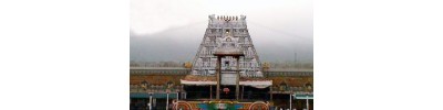 075. திருவேங்கடம்